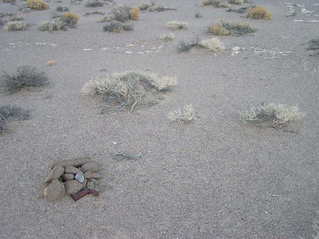 #1: A view of the confluence point (including a cairn left by a previous visitor)