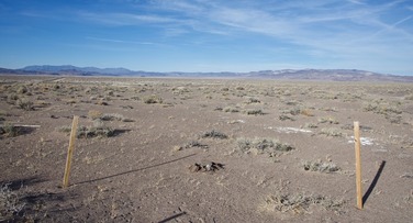 #1: The confluence point lies in a flat region of desert, just 100' east of a paved road. (This is also a view to the North.)