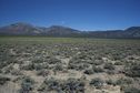 #3: View East (across the adjacent farmland, towards the Egan Range)