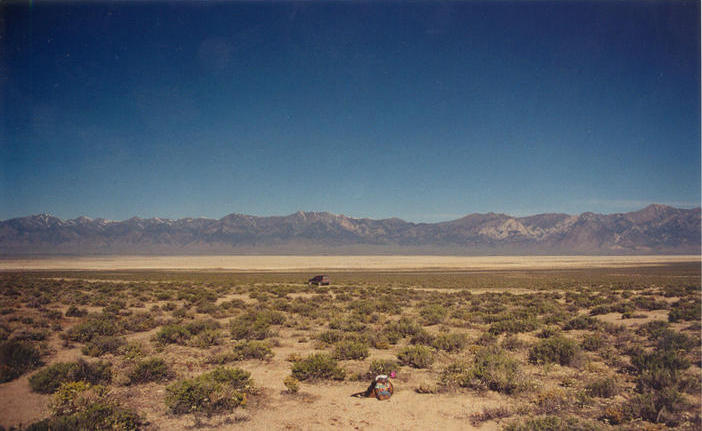 T. McGee Bear facing east at the point with the Toquima Range in the background.