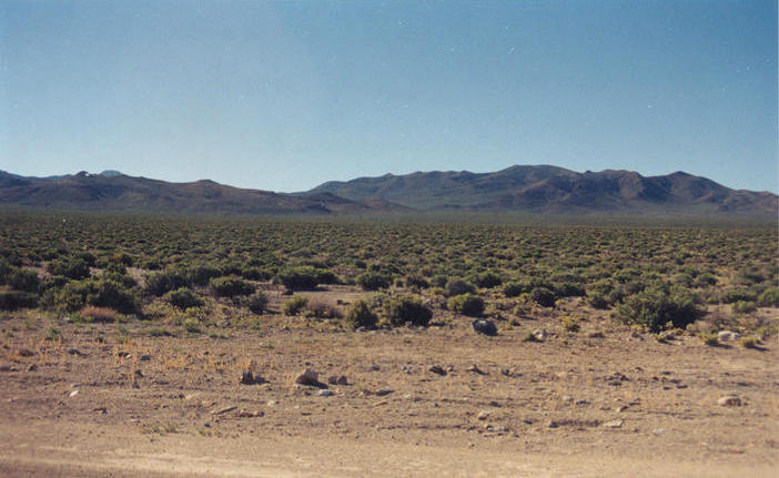 Looking southeast from the road at the point with the Toquima Range in the background.  The pink spot in the middle of the picture is the pin flag marking the point.