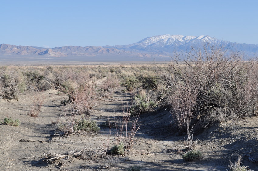 This is as close as I got on this attempt; the confluence point lies about 10 miles away