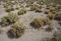 #5: The confluence point lies in a remote desert valley, but just 160 feet from a gravel road