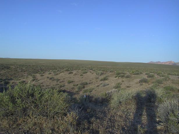 Looking west from the confluence.