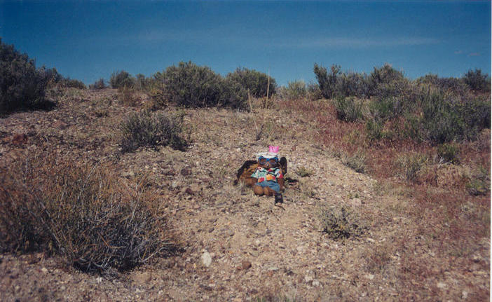 T. McGee Bear facing west at the point.  NV 361 is over the hill behind him.