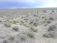 #4: View South (showing the small gully where the confluence point lies)