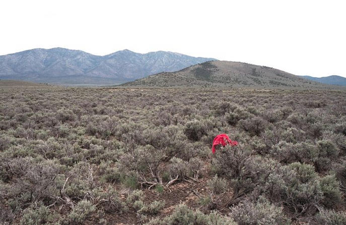 view southeast towards Red Butte