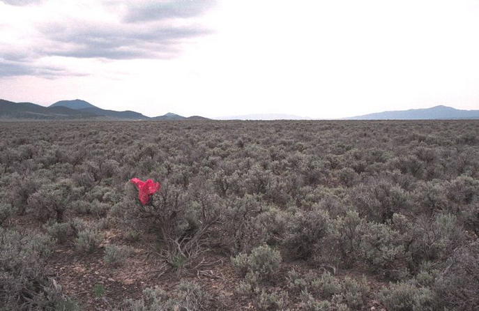 looking southwest down Butte Valley