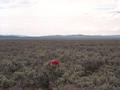 #2: looking northwest across the confluence