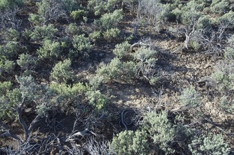 #1: The confluence point lies in a sagebrush-covered desert valley