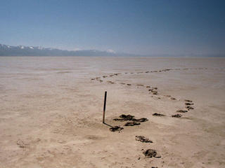 #1: Looking south-southeast from the confluence