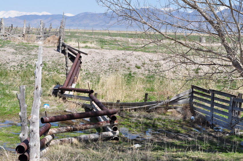 A spring at Siri Ranch, the closest ranch to the confluence point