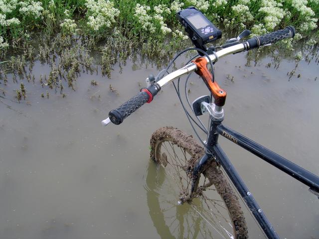 From the road Hall Creek looks dry, talk about muck!