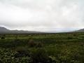 #2: View north up Carico Lake Valley