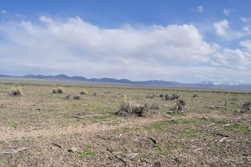 View East (towards the Toiyabe Range)