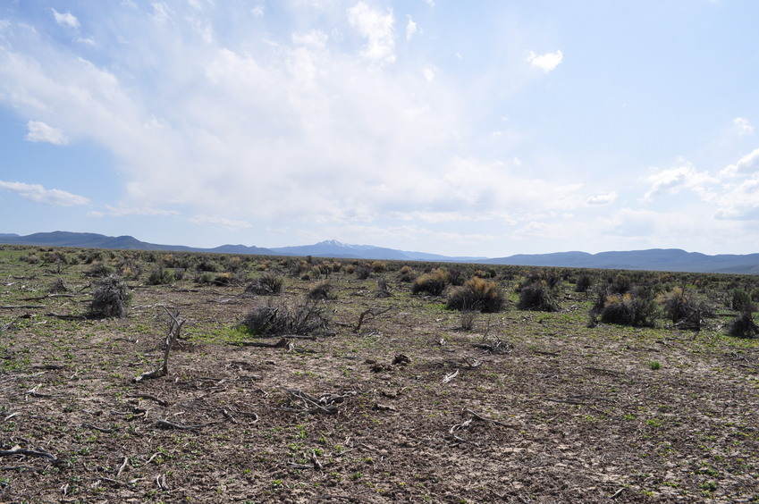 View South (down Carico Lake Valley, towards the Toiyabe Range)
