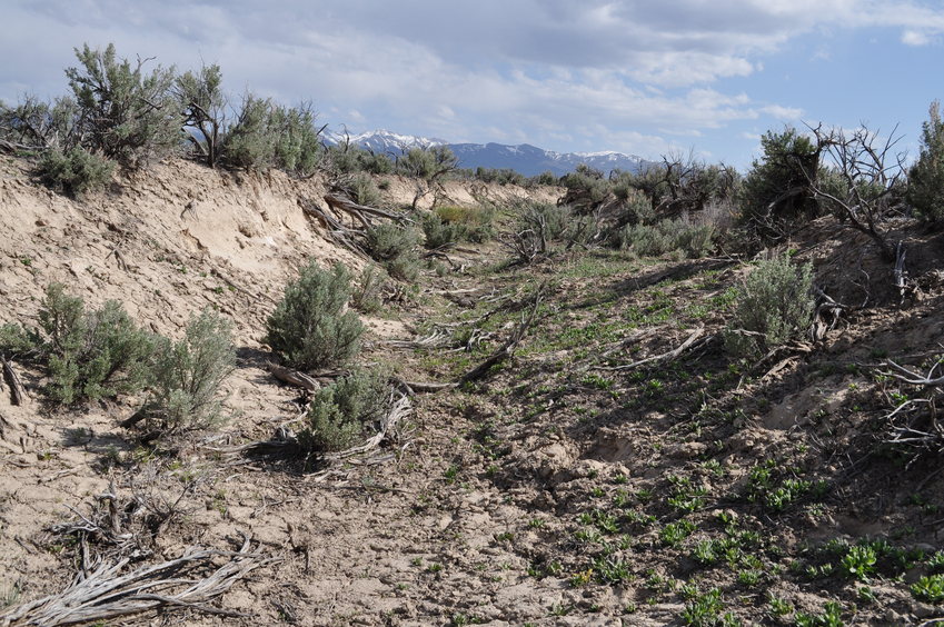 A small gully crossed en route to the confluence point (the ground here was otherwise quite flat)