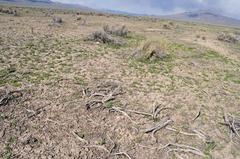 #1: The confluence point lies within a former dry lake bed