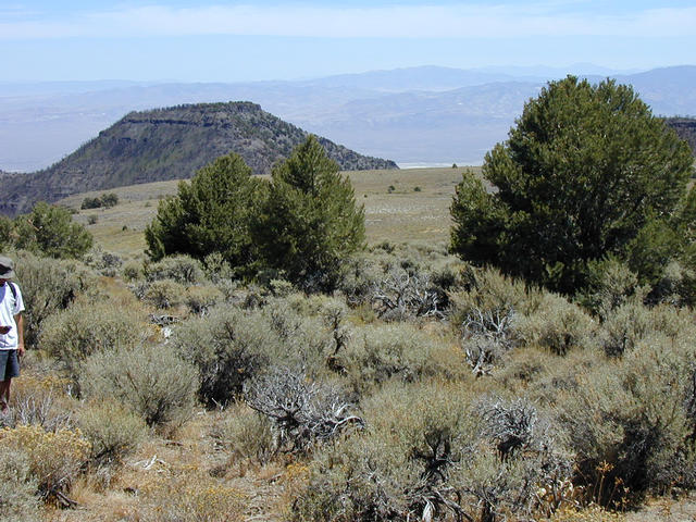 Confluence point in foreground with eastern vista