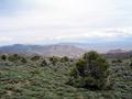 #3: East across Stillwater Range.  Dixie Valley in distance