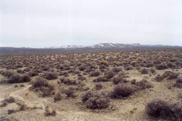 View from confluence looking south