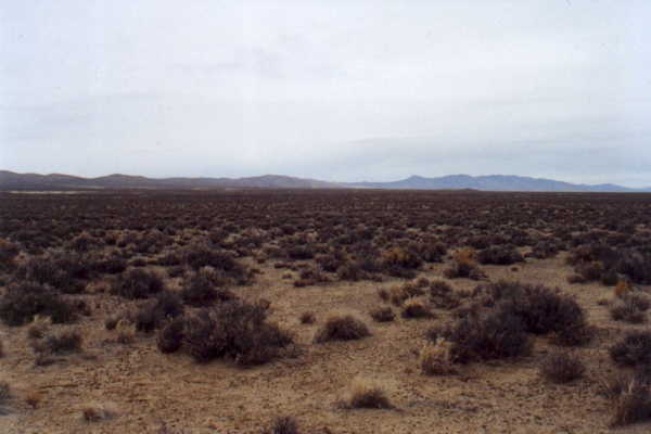 View from confluence looking north