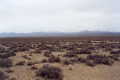 #3: View from confluence looking east