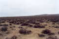 #4: View from confluence looking west