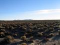 #3: View South