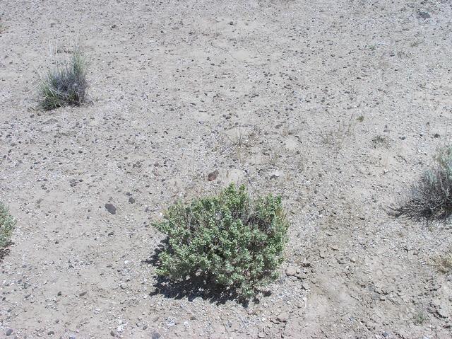 The confluence point - in a sandy desert area