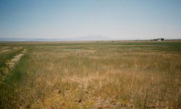 #1: Looking south along the dirt track only 5 feet from the confluence.