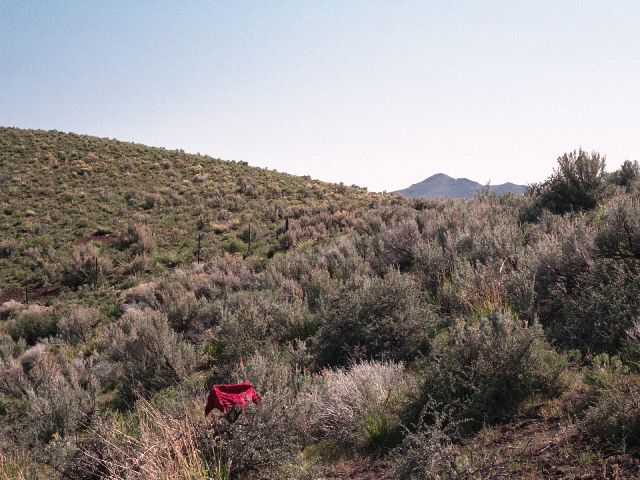 View southwest from the confluence