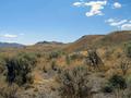 #5: View west