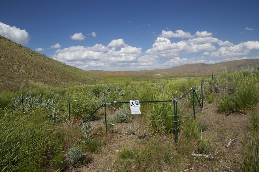 A fenced-off "Habitat Restoration Project", about 1.2 miles south of the confluence point 