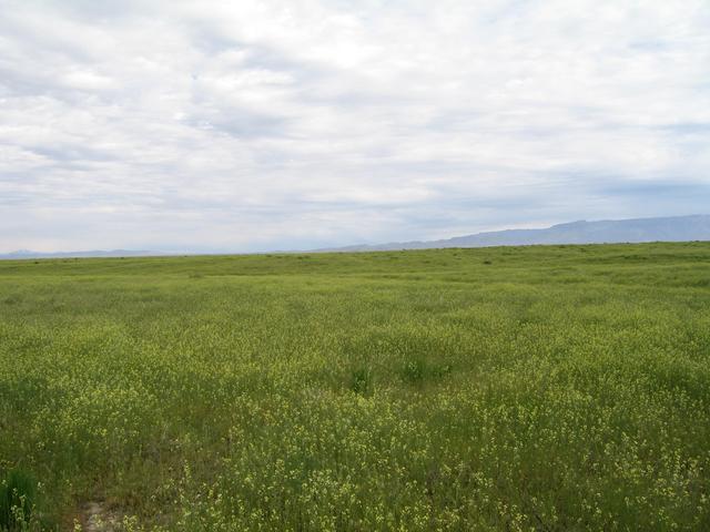 View north