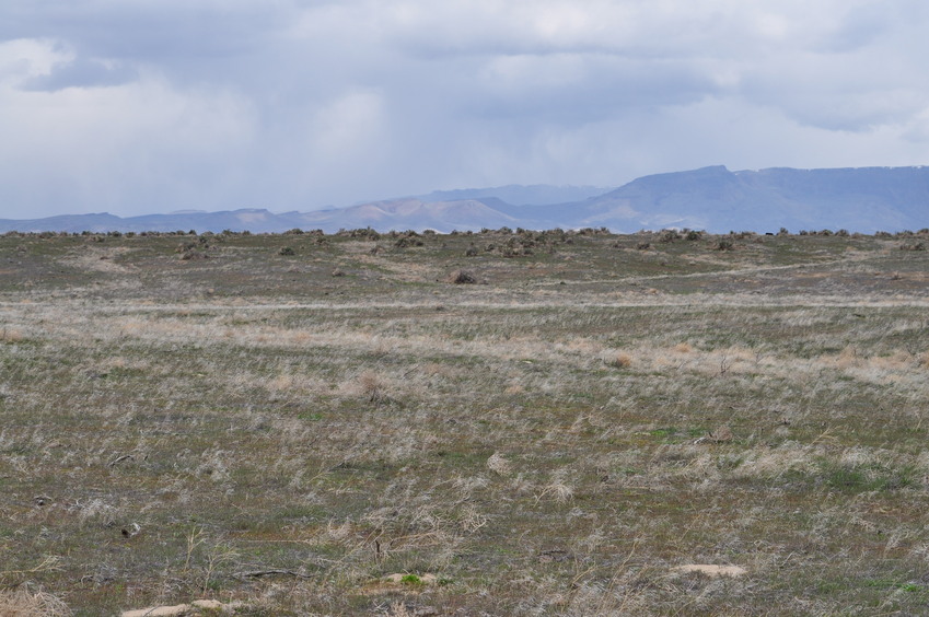 View North (towards the Owyhee Bluffs)