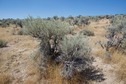 #5: The confluence point lies near the top of a sagebrush-covered ridge