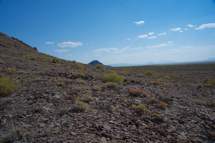View South (towards Black Rock Peak, for which the Black Rock Desert is named)