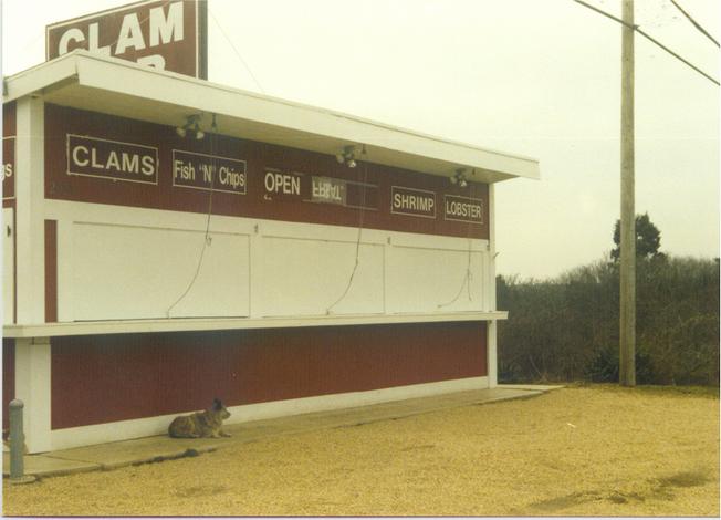 On the highway, east of Amagansett, west of Montauk