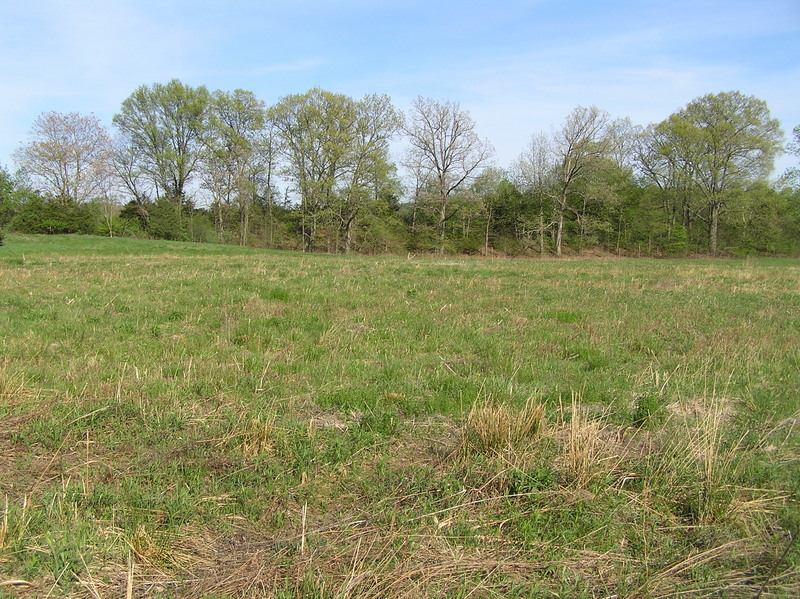 View to the southeast from the confluence.