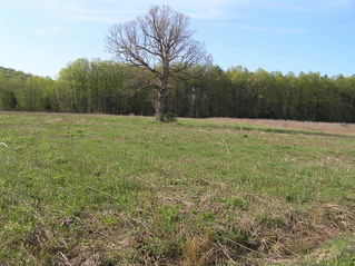 #1: The site of 42 North 74 West in the front right of the photograph, in the shallow ditch, looking northwest.