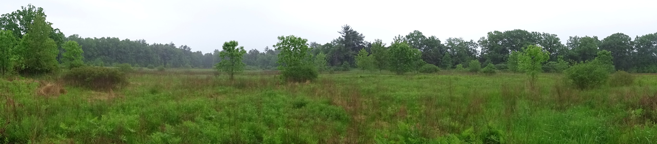 Panoramic view from the point