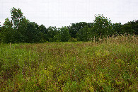 #3: View East