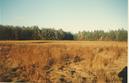 #5: North