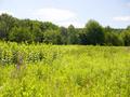 #5: Looking West from the Confluence point