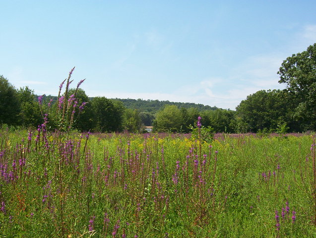 View to the west