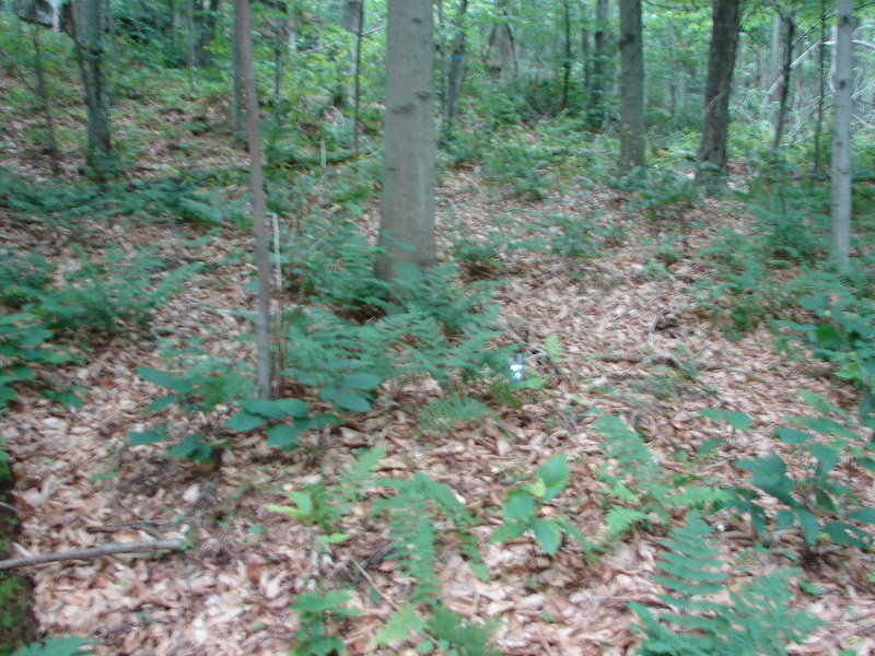 Confluence point, GPS marks the spot