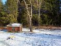 #8: Looking towards the confluence from the back yard