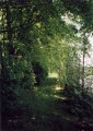 #3: Looking south from the confluence along the path.