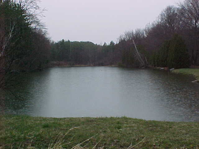 The Confluence Pond
